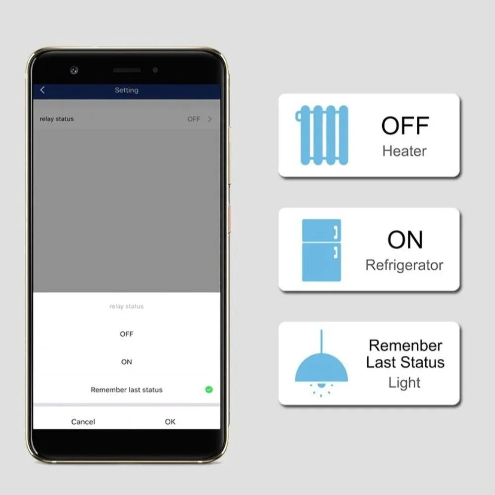 Control Smart Plug