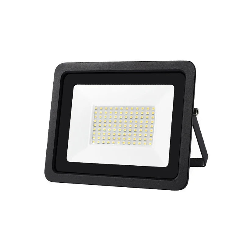 LED Flood Light