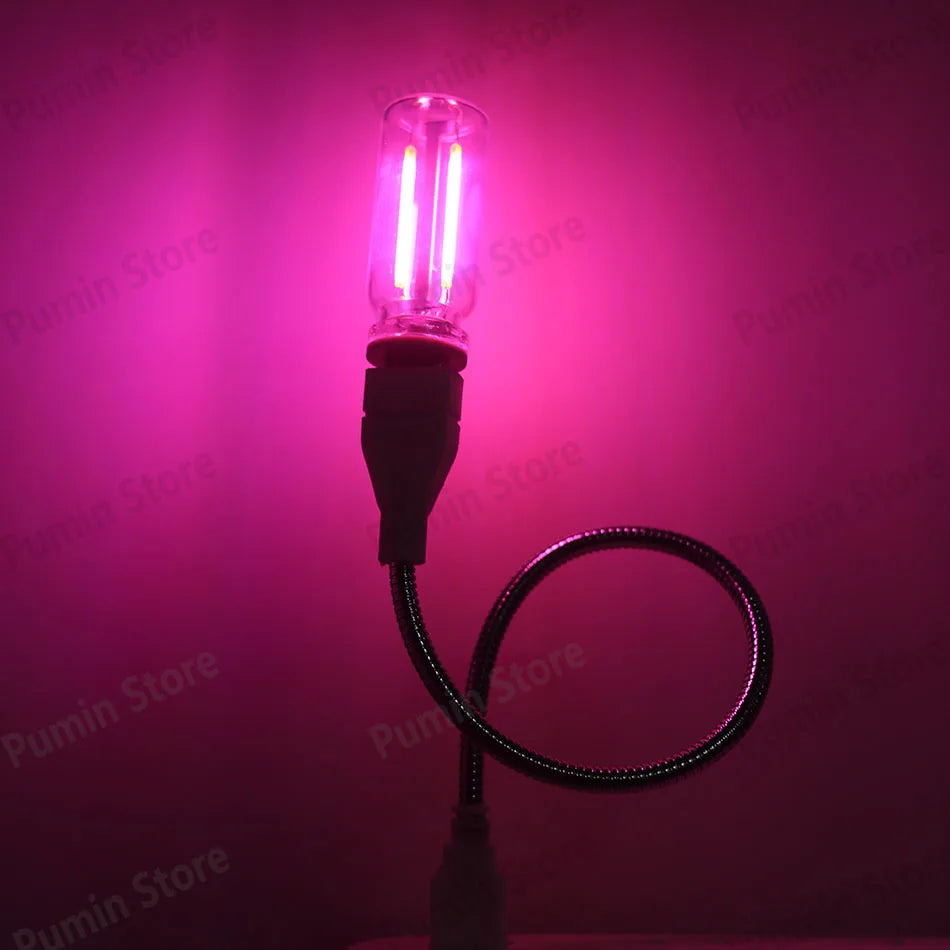 LED Night Light